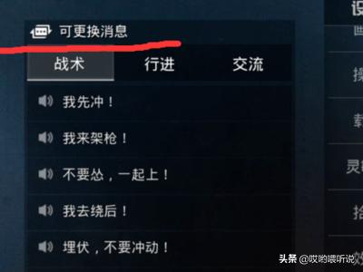 王者吃鸡聊天怎么设置(图13)