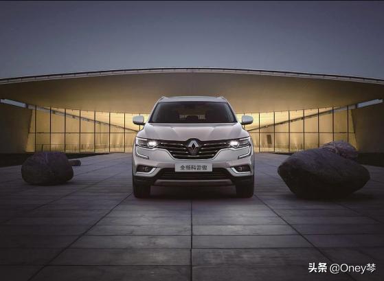 雷诺怎么复位保养灯(图2)