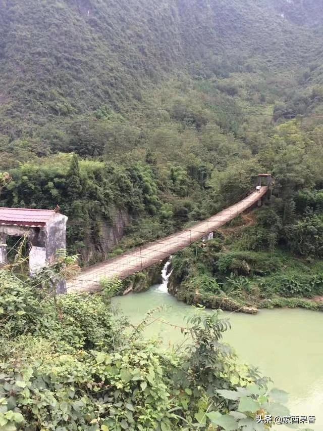 有关大学生旅游的调查报告