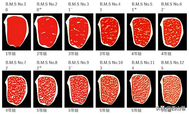 和牛的等级判定,第9张