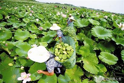 什么游戏最好玩，女生游戏？：爱莲说图片