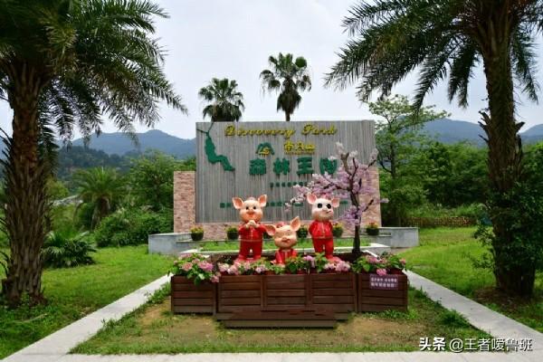 佛山周边三日游该如何规划路线？：游三水