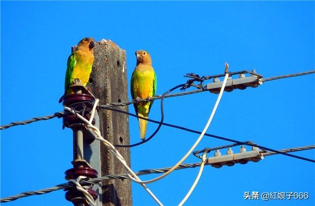 手机什么直播平台能赚钱