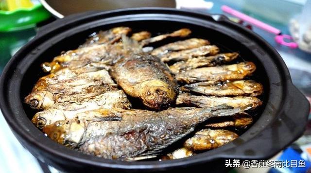 磁县猪价格啥时涨-磁县今日猪价