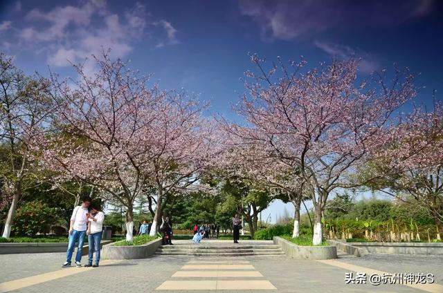 杭州西湖旅游团一日游-杭州西湖旅游团一日游价格