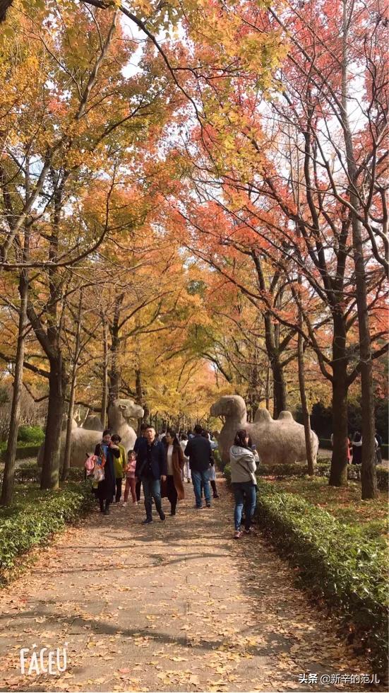 妹妹的旅游穿搭， 妹妹的旅游穿搭文案