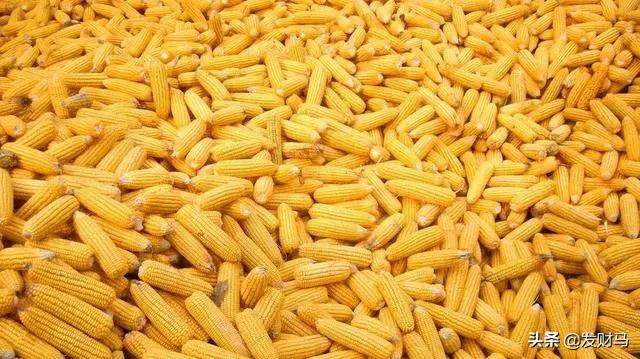 饲料存量最高多少-饲料存量最高多少吨