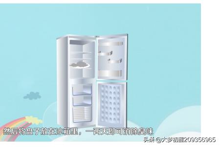 怎么去除冰箱异味(图1)
