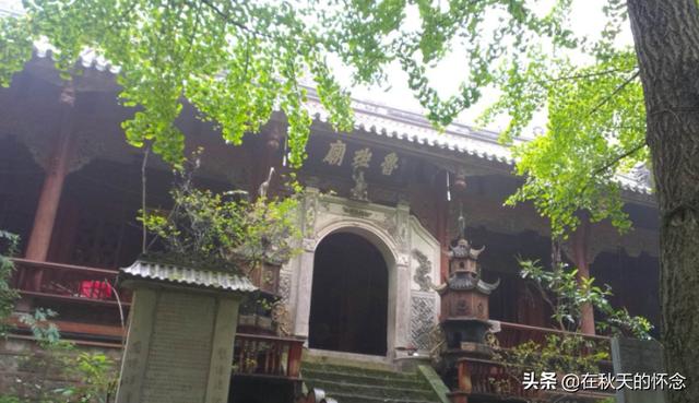 三人不抱树_为什么二人不看井,三人不抱树