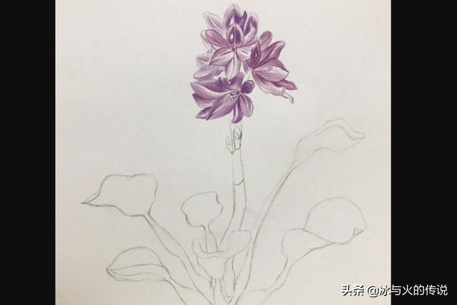 花卉简笔虎?画虎简笔画 可爱!