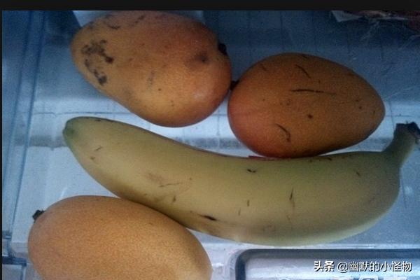 制作水果冰淇淋-制作水果冰淇淋的方法和材料