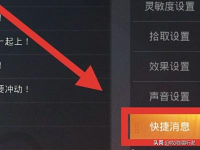 王者吃鸡聊天怎么设置(图10)
