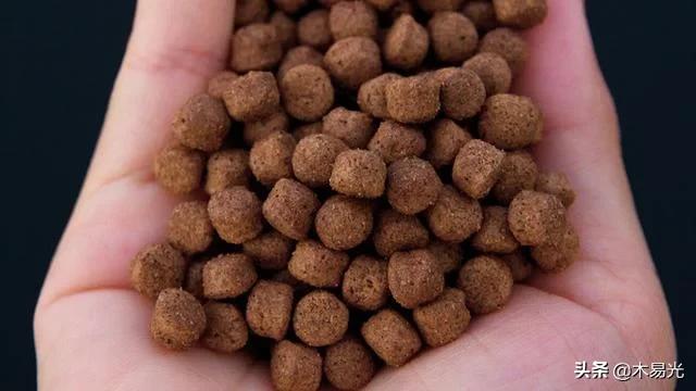 秋冬如何搭配饵料钓鱼好(图5)