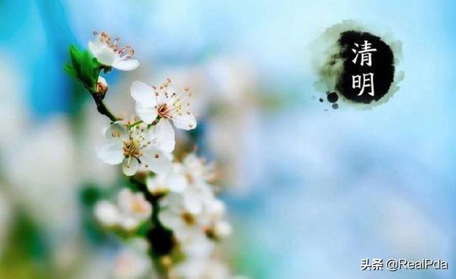 在桃花杏花枝头笑中的笑说明春天很什么(在桃花,杏花枝头笑,笑说明春天什么特点)