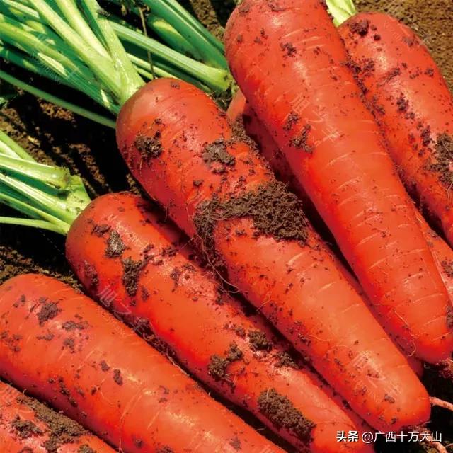 我的世界0.12.1种子大全城市 我的世界0.12.1种子-第1张图片-随然AIR主题