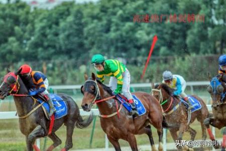 相机的快门光圈如何搭配(图12)