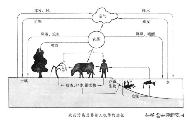 土壤污染的来源?土壤污染的来源有哪些!