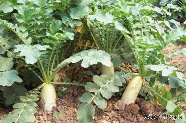 家里安装空气能热水器，热水要打开约一分钟才有，同时用水，热水水流会很小，请问解决办法？：大时间