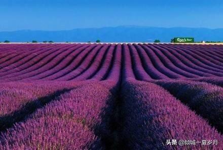 赐伤歌曲文案古文怎么表达,古装歌曲最火的歌伤感句子 - 句子网