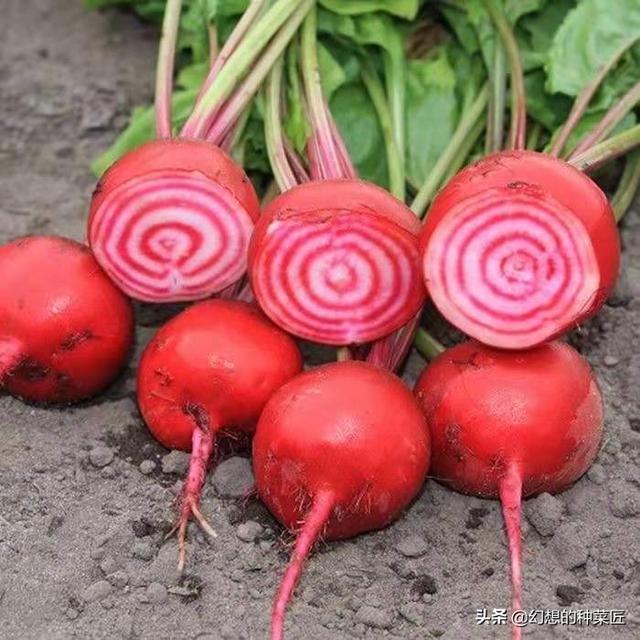 特种蔬菜 （特种蔬菜品种大全）