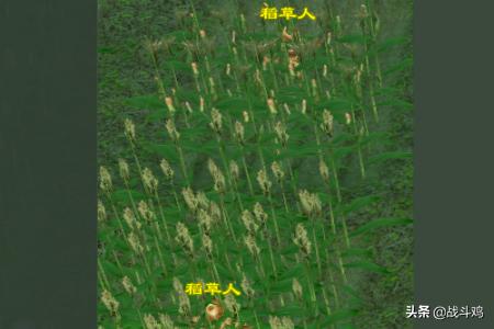 天龙八部新王陵攻略 天龙八部新王陵攻略大全  第3张