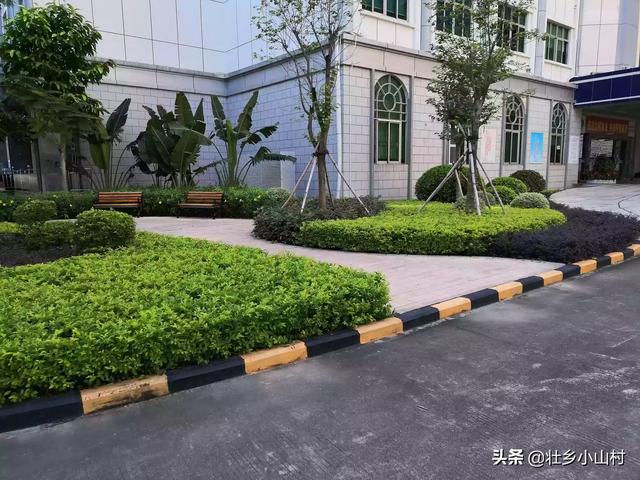 绿化种植土来源 花卉有哪些