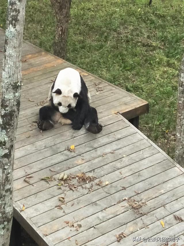 百度提问首页-百度提问首页在线提问