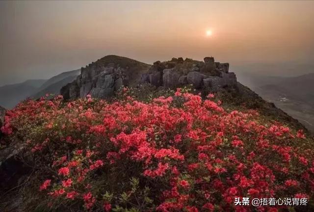 泰顺至永州高铁路线，泰顺至永州高铁路线图