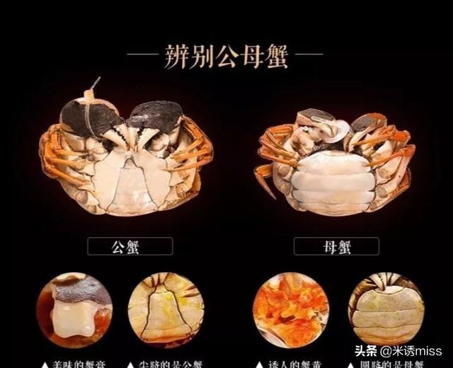 泡母螃蟹和公螃蟹怎么吃(图7)