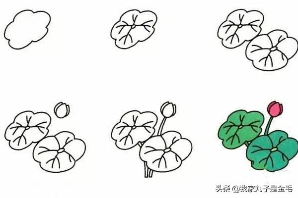 菊花简笔画花卉?菊花简笔画花卉图片!