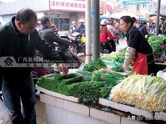 南宁市哪个郊区菜便宜