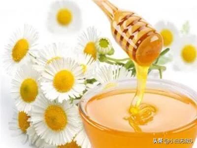 鸽子和蜂蜜有什么功效(图4)