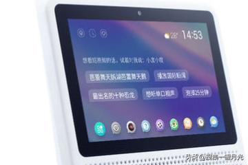 荔枝视频在线观看免费最新（荔枝视频在线窗口）