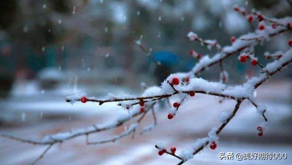 雪景图片大全唯美雪景图片大全唯美 风景