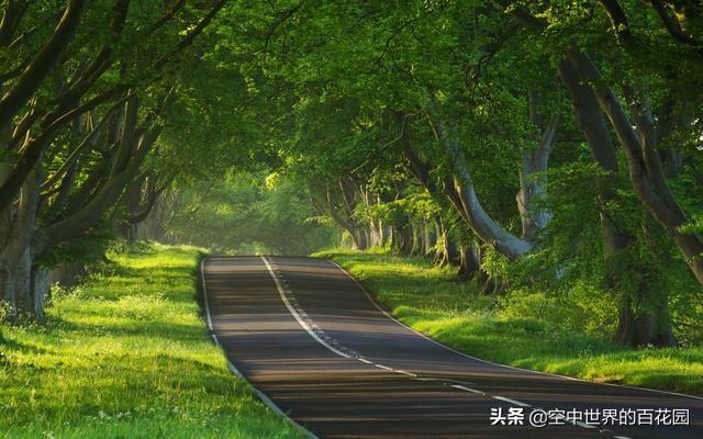 重庆旅游怎么样啊,重庆旅游怎么样啊现在