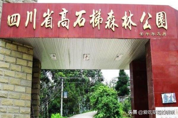 四川自贡的旅游景点大全， 四川自贡的旅游景点大全图片