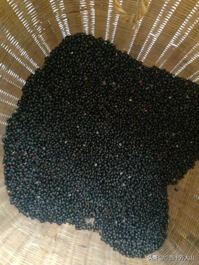 我的世界0.12.1种子大全城市 我的世界0.12.1种子-第4张图片-随然AIR主题