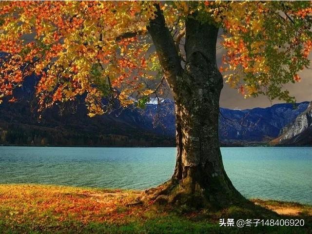 宝鸡秋天旅游景点大全， 宝鸡秋天旅游景点大全图片