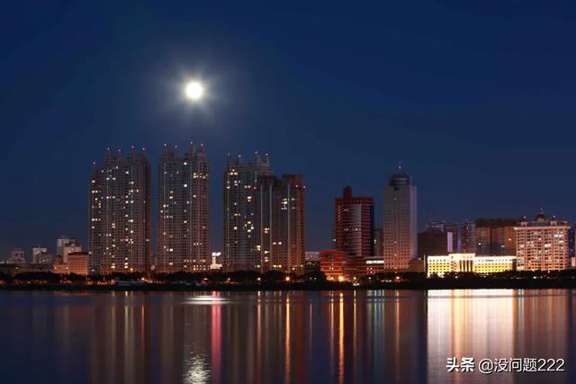 黑龙江省肇东市8月17号生猪价格-黑龙江省肇东市8月17号生猪价格表