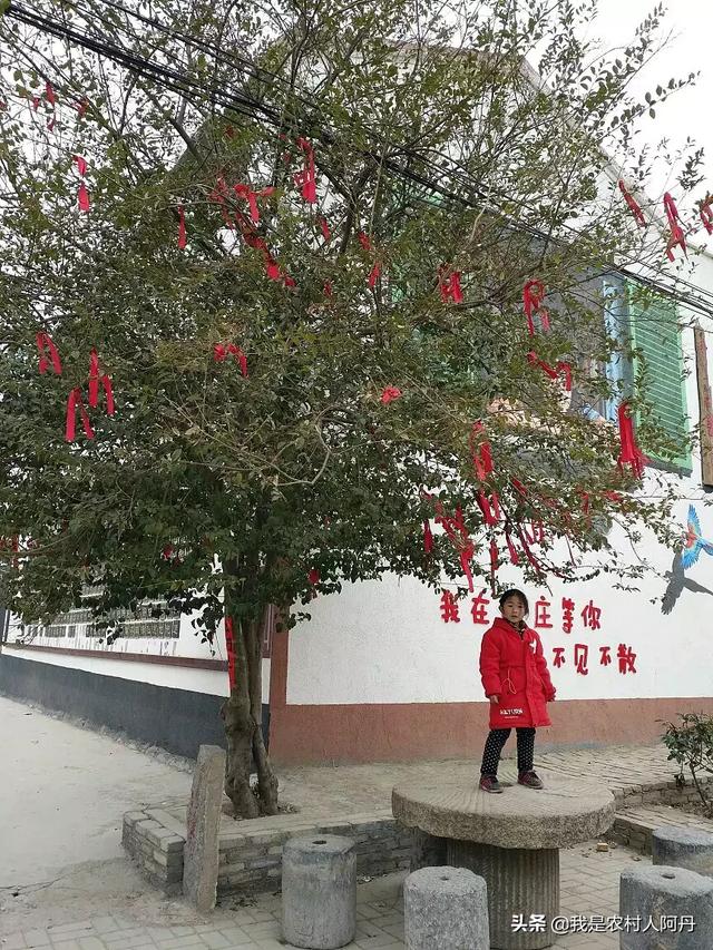 中国乡村旅游景点大全， 中国乡村旅游景点大全排名