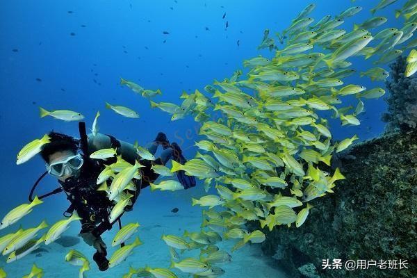 国外可以潜水的旅游景点,国外可以潜水的旅游景点有哪些