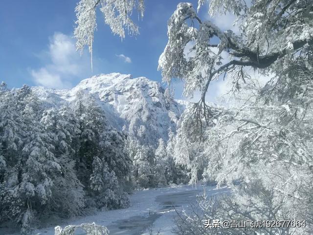 海螺沟景点门票价格， 海螺沟景点门票价格多少