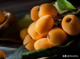 枇杷怎么保存才能长久吃