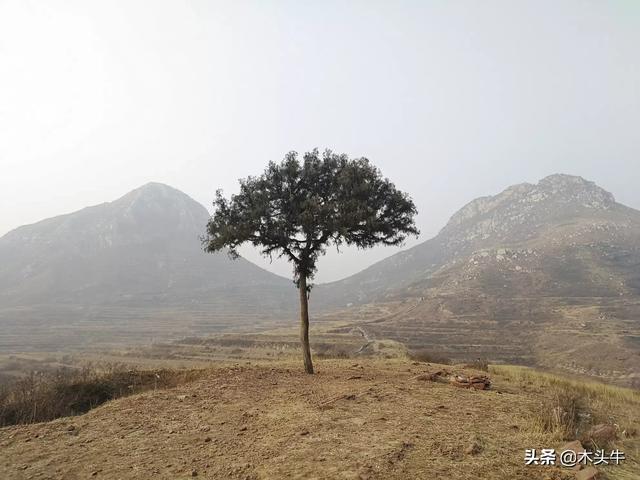 [运动员拒复旦考清华]考不上清华大学怎么办？