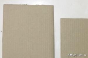 纸箱狗颜色如何搭配好看