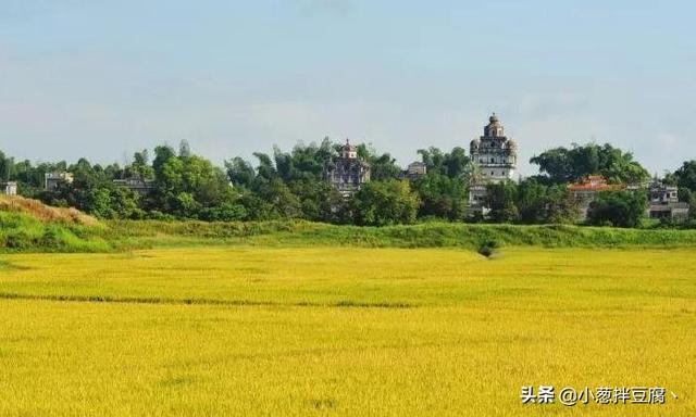 农村田园风景图片大全-农村田园风景图片大全大图