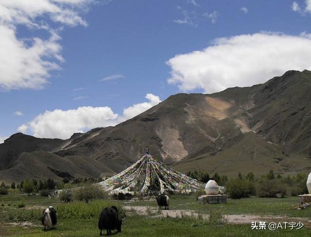 意甲球员合同续约规定？：马特里