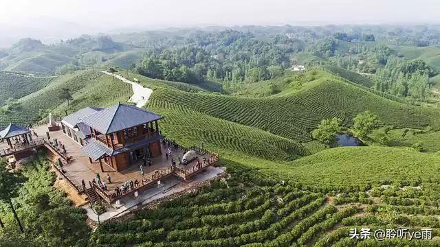 河南作为人口大省，十七个地级市中哪个城市最适合居住和生活？