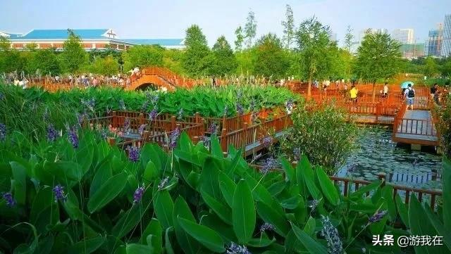 厦门市哪个公园好