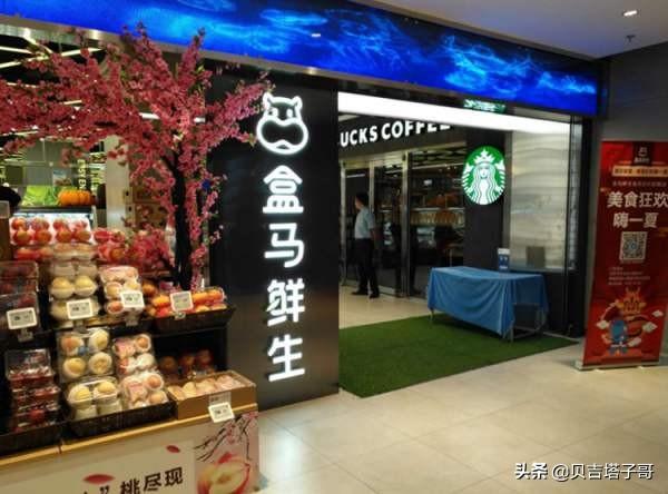 盒马app怎么升级？：盒马app